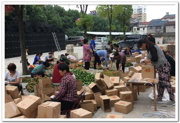 圖片關(guān)鍵詞 圖片關(guān)鍵詞