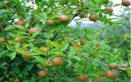 圖片關鍵詞 圖片關鍵詞