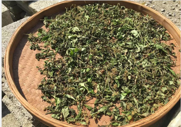 1603965378972687.png blob.png