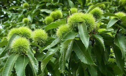 圖片關鍵詞 圖片關鍵詞